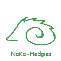 NaKa-Hedgies